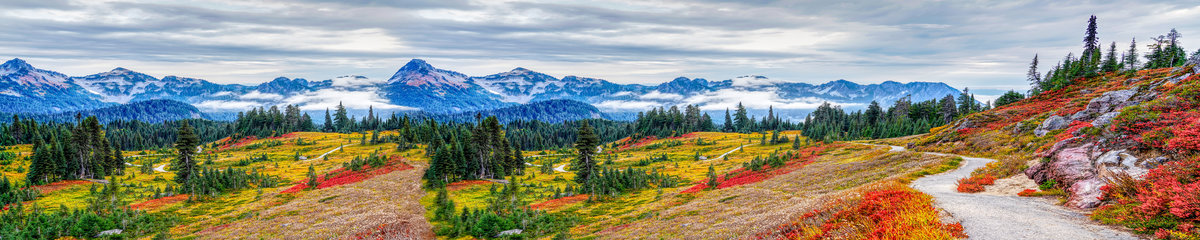 Virtuves panelis dizains SPJ 014